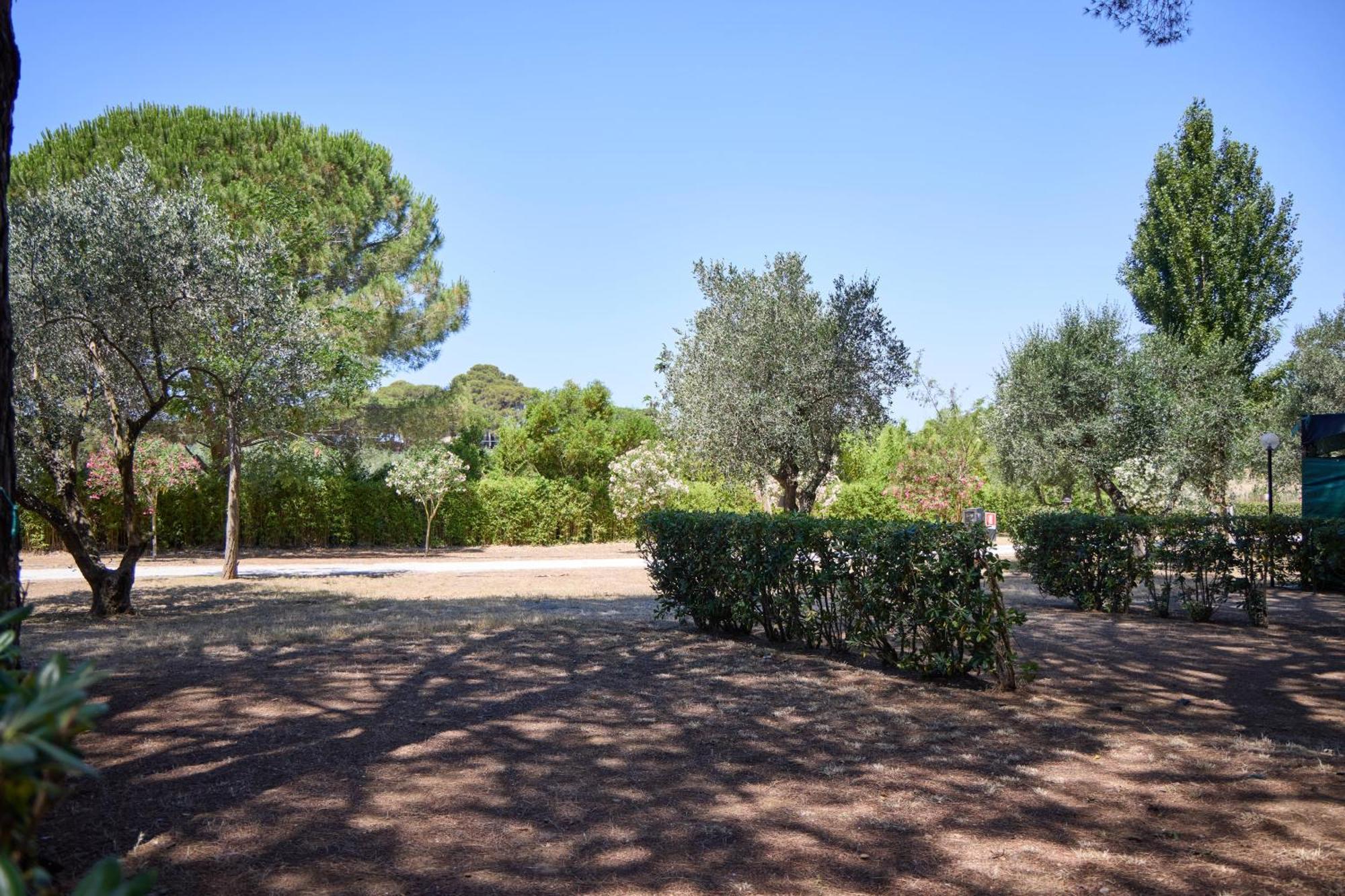 Costa D'Argento - Camping Village Club Capalbio Luaran gambar
