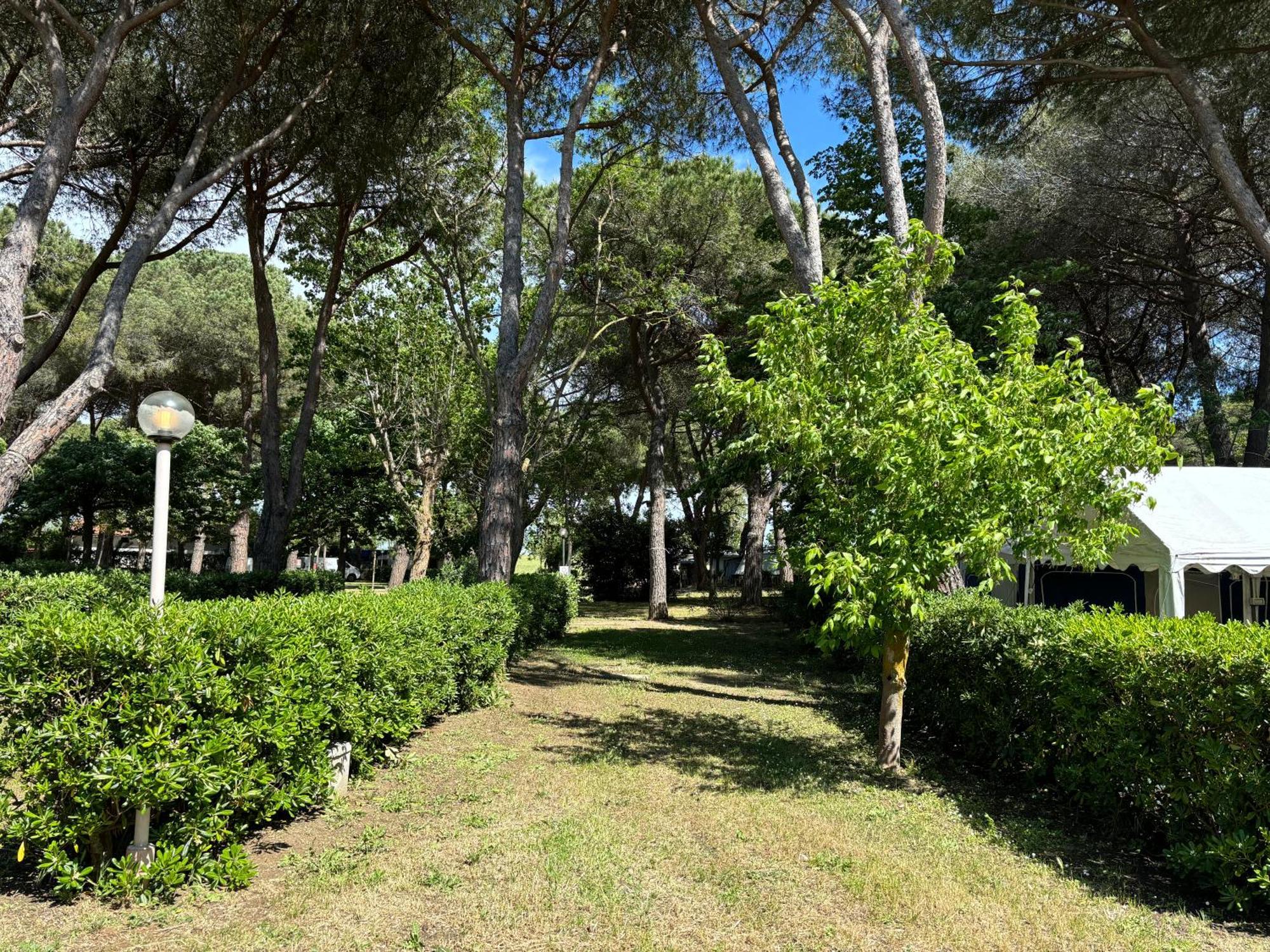 Costa D'Argento - Camping Village Club Capalbio Luaran gambar